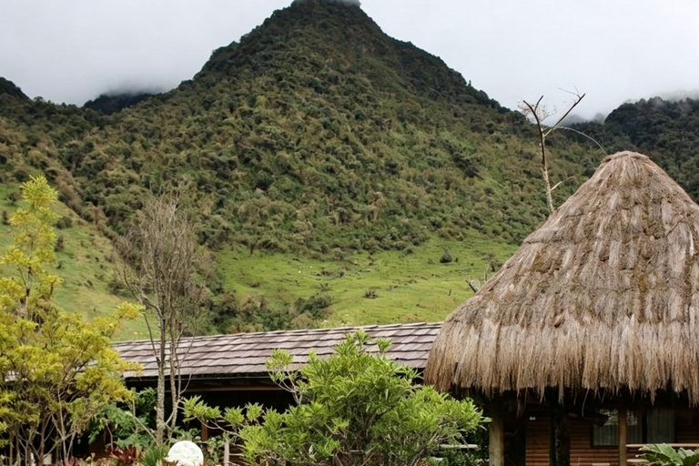 Quito: Spa at Termas de Papallacta, Polylepis Forest, Lagoon, and Snow-Capped Mountain Quito: Spa at Termas de Papallacta, Polylepis Forest, Lagoon, and Mountain