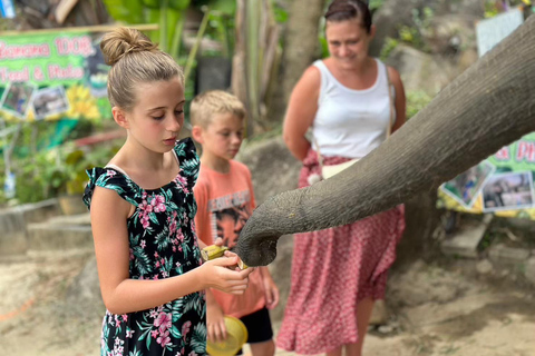 Phuket: Tour de medio día por la ciudad con guía turístico