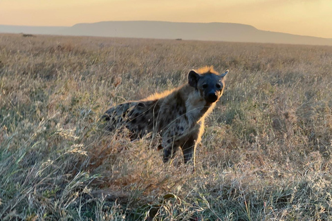 Safari épico: Serengeti, Mikumi, Ngorongoro y Selous