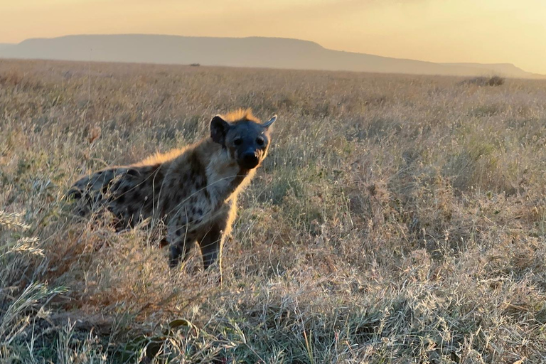 Safari épico: Serengeti, Mikumi, Ngorongoro y Selous