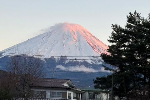 Depuis Tokyo : Excursion privée d&#039;une journée au Mont Fuji et à Hakone