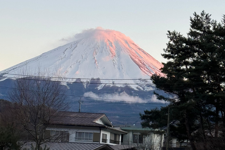 Depuis Tokyo : Excursion privée d&#039;une journée au Mont Fuji et à Hakone