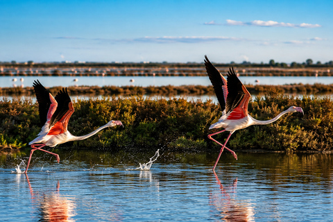 Ibiza: Flamingo Hike and Sunset in Ses Salines