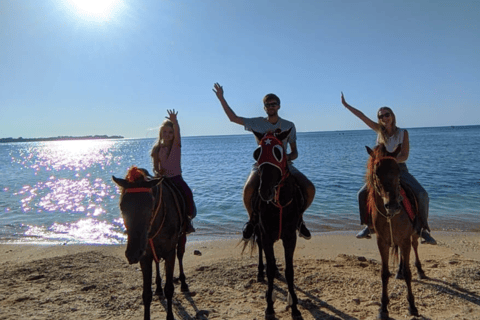 Gili Trawangan : Randonnée à cheval sur la plage avec transfert à l&#039;hôtel