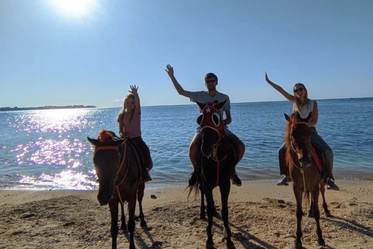 Gili Trawangan: Passeggiata a cavallo sulla spiaggia con trasferimento in hotel