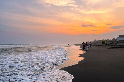 A day in El Paredón: chill, soak up the sun, and watch an unforgettable sunset A day in El Paredón: relax, sun, and an unforgettable sunset