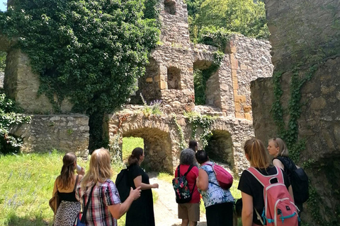 Singen: Guided tour of the Hohentwiel fortress ruins with a castle researcher Singen: Guided tour with a castle researcher through the Hohentwiel fortress ruins