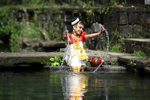 La Encantadora Belleza de Kerala: Un viaje de 5 días desde Cochin