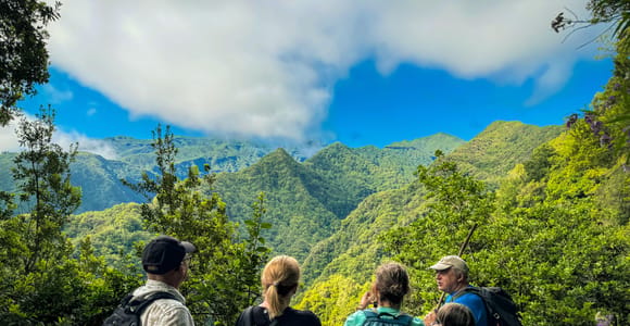 Hiking Madeira: Levada do Rei and the Majestic Laurissilva
