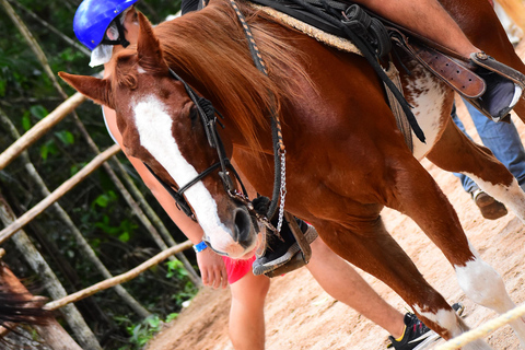 ATVS SINGLE & Horseback Riding Cancun & Playa del Carmen ATVS, Ziplines & Horseback Riding Cancun & Playa del Carmen