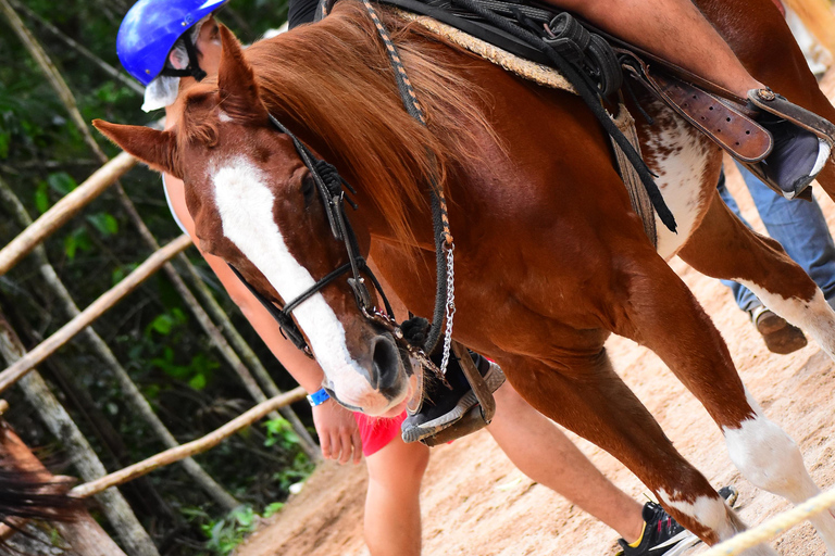 ATVS SINGLE & Horseback Riding Cancun & Playa del Carmen ATVS, Ziplines & Horseback Riding Cancun & Playa del Carmen