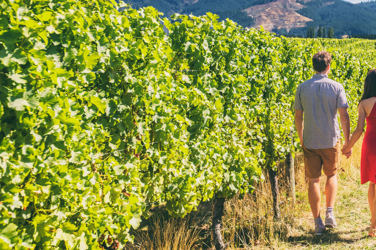 Santa Barbara: Horseback Riding and Wine Tasting Tour