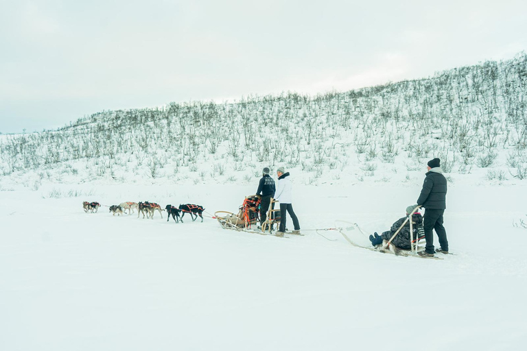Tromsø: Dog Sledding Tour