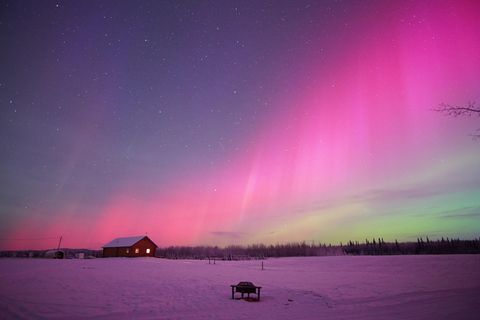 Fairbanks: Aurora Borealis Night Sky Tour & Photography