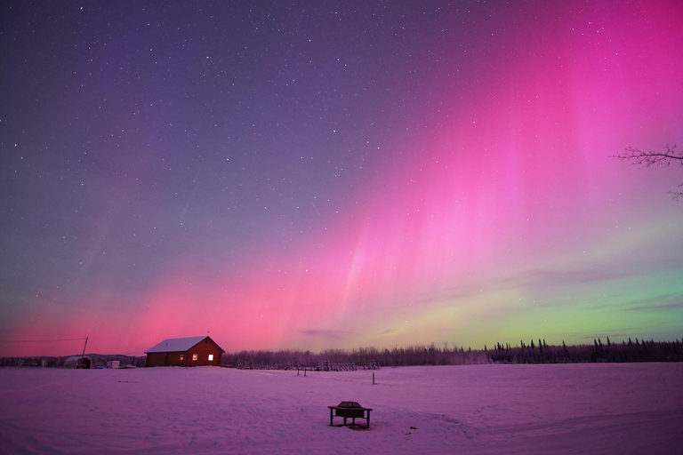 Fairbanks: Aurora Borealis Night Sky Tour & Photography