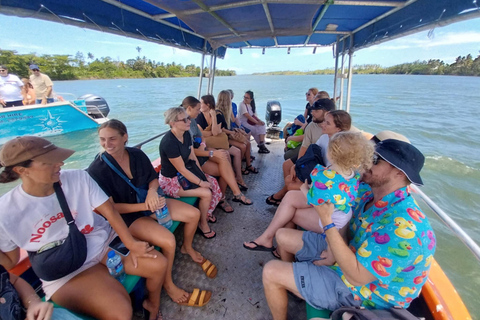 Sigatoka: crucero por el río y visita al valle Salad BowlSigatoka: crucero por el río y excursión al Valle de las Ensaladeras