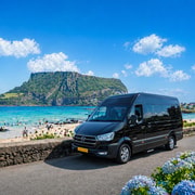Jeju: Popular Sightseeing Private Car Charter Tour