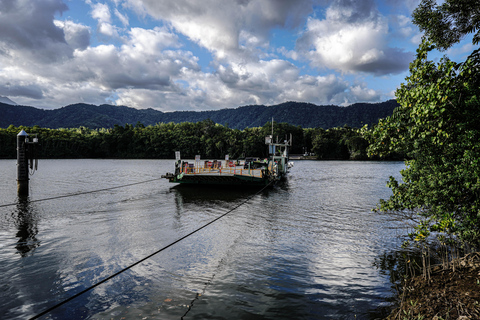 Depuis Port Douglas : Expérience totale de la Daintree en petit groupePort Douglas : Expérience totale de la Daintree en petit groupe