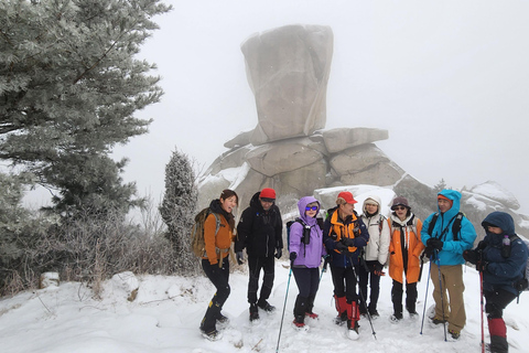 Seoul: Bukhansan Mountain Guided Hike