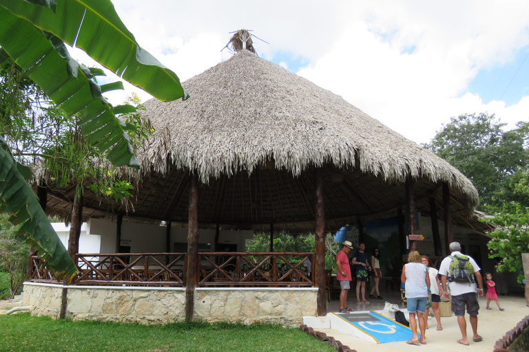 Tulum: Sian Ka'an Biosphere Reserve Kayak Tour