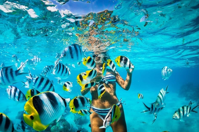 Snorkelen en lunchen op Catalina eiland vanuit Punta CanaOphaalservice vanaf je hotels & Airbnb's in Punta Cana