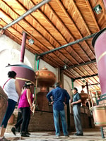 Monterrey, Parras de la Fuente Visite d'exploration - Hizvo