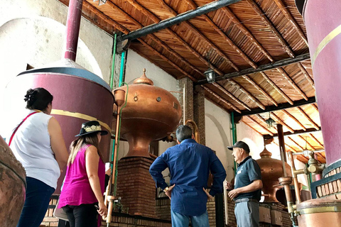 Rondleiding &quot;Parras de la Fuente&quot;, met gids, transfer en tickets