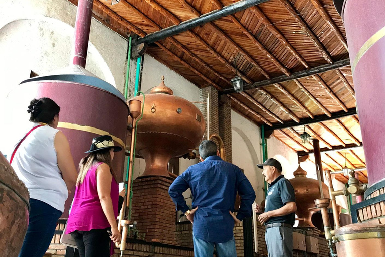 Rondleiding &quot;Parras de la Fuente&quot;, met gids, transfer en tickets