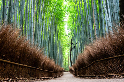 Kyoto: Tour particular de carro pelos destaques da cidade