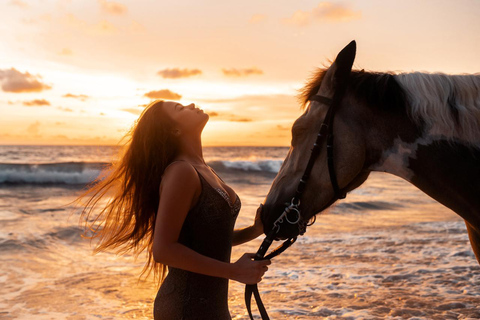 Oman-Salalah: Sunset Beach Horseback Ride with Hotel Pickup