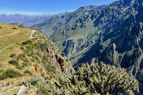 Excursión de 1 día al Cañón del Colca + Aguas Termales