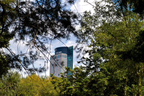 Entdecke die Geschichte der Burg Chapultepec und das Panorama von Mexiko-Stadt