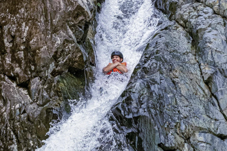 Puerto Rico : Visite guidée de la forêt tropicale d'El Yunque avec transferts
