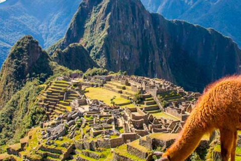 Machu Picchu: Official Entry Ticket – Book in Advancewith Us Circuit 1b Ticket + Guide & Bus