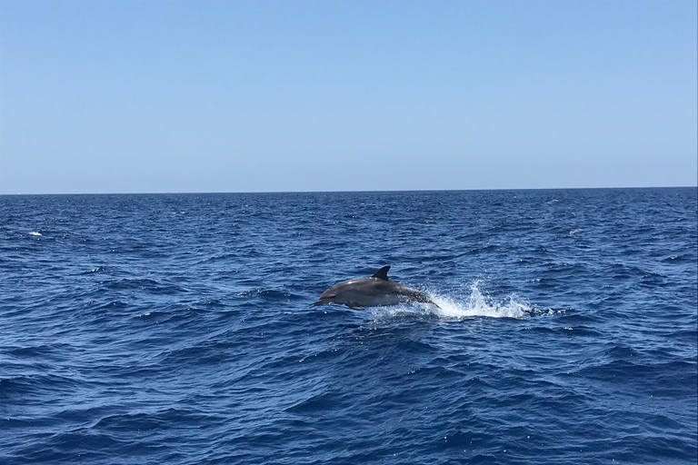 Sud de Grande Canarie : croisière de luxe en yacht en petit groupeCroisière en groupe de 4 heures l'après-midi