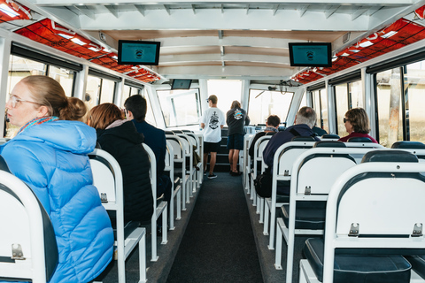 Adelaide: Port River Dolphin and Ships Graveyard Cruise