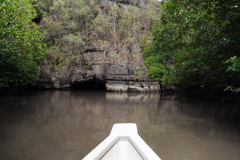 Langkawi: Kilim Geopark Mangrove Tour with Eagle Watching