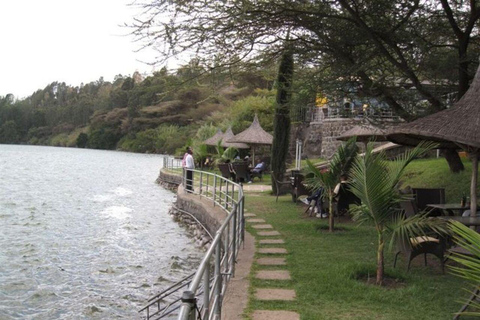 Debre Zeyit in Your Ear Crater Lakes with a Live Local Guide