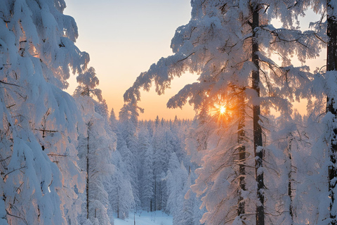 Laponia Finlandia Zimowa wycieczka zorzy polarnej 30 listopada - 7 grudnia