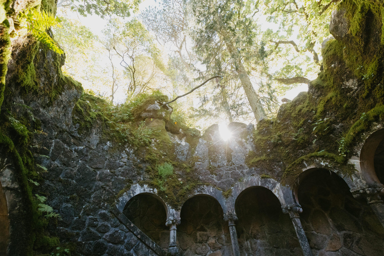 Sintra: Biglietto d'ingresso per Quinta da Regaleira e tour guidatoTour in portoghese