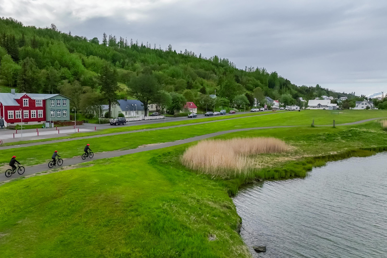 Akureyri: E-Bike Tour with Forest Lagoon Entry