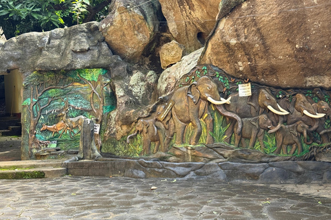 From Colombo: Cave Temples, Jungle Trek & Waterfall Swim