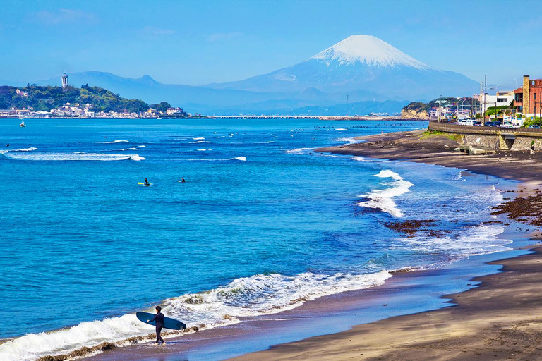 Tour de 1 dia pelo Buda de Kamakura, Enoshima, santuário saindo de TóquioVocê será buscado na estação de Shinjuku às 8h30