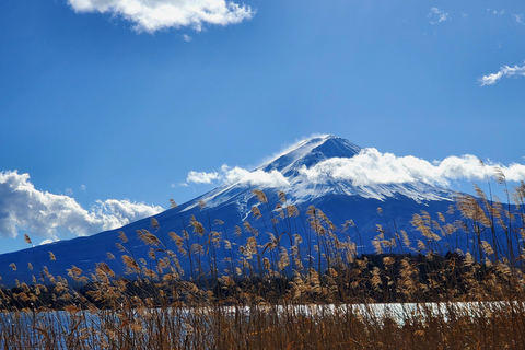 Mount Fuji Full-Day Private Tour from Yokohama Customizable