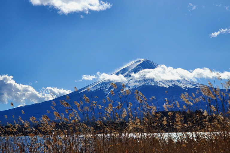 Mount Fuji Full-Day Private Tour from Yokohama Customizable