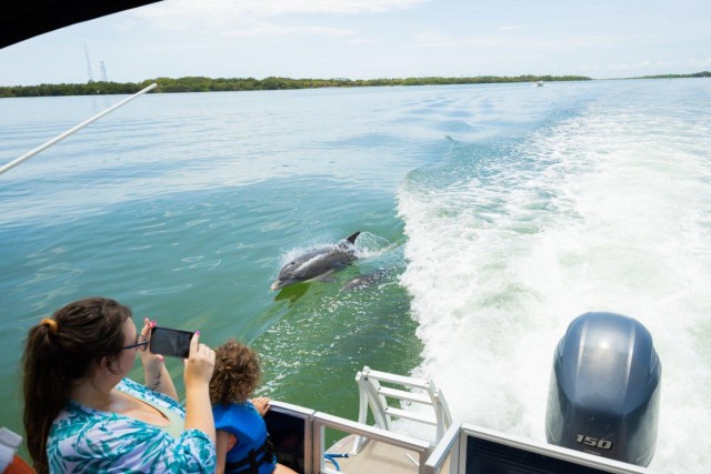Visit St Pete Dolphin Snorkeling Cruise to Shell Key in Indian Shores