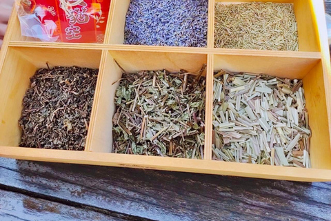 Taipei: Zoo, Maokong Gondola, and Experience Ticket