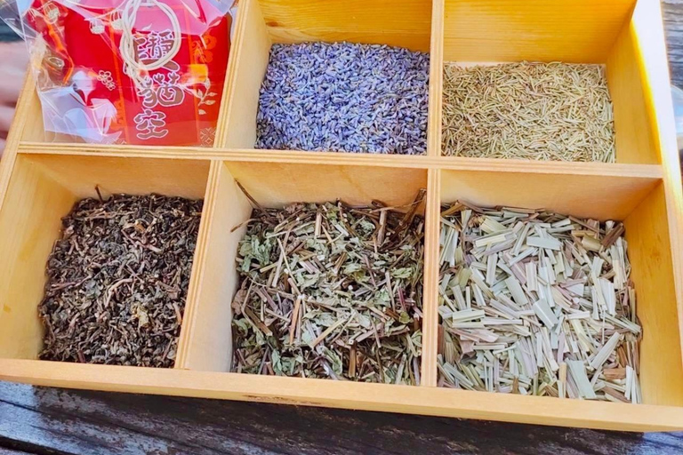 Taipei: Zoo, Maokong Gondola, and Experience Ticket