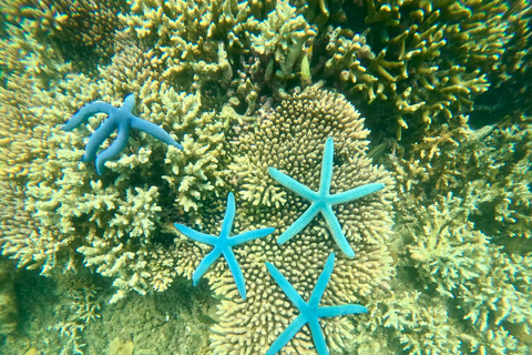 Private Snorkeling Trip To Gili Trawangan,Gili Meno,Gili Air Pick up from : Senggigi Area/Mataram Area