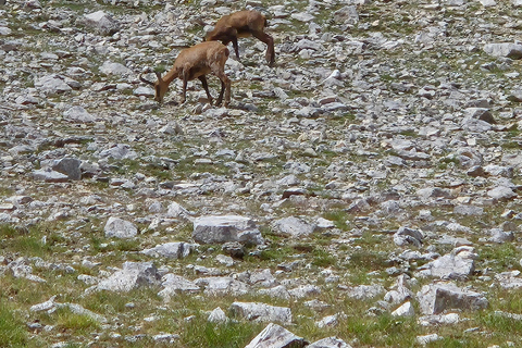 Koncheto Ridge Hike – Full-Day Guided Tour from Sofia